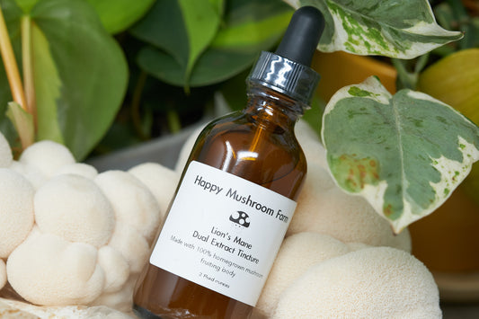 Lion's Mane Double Extracted Tincture (2 or 4 oz)