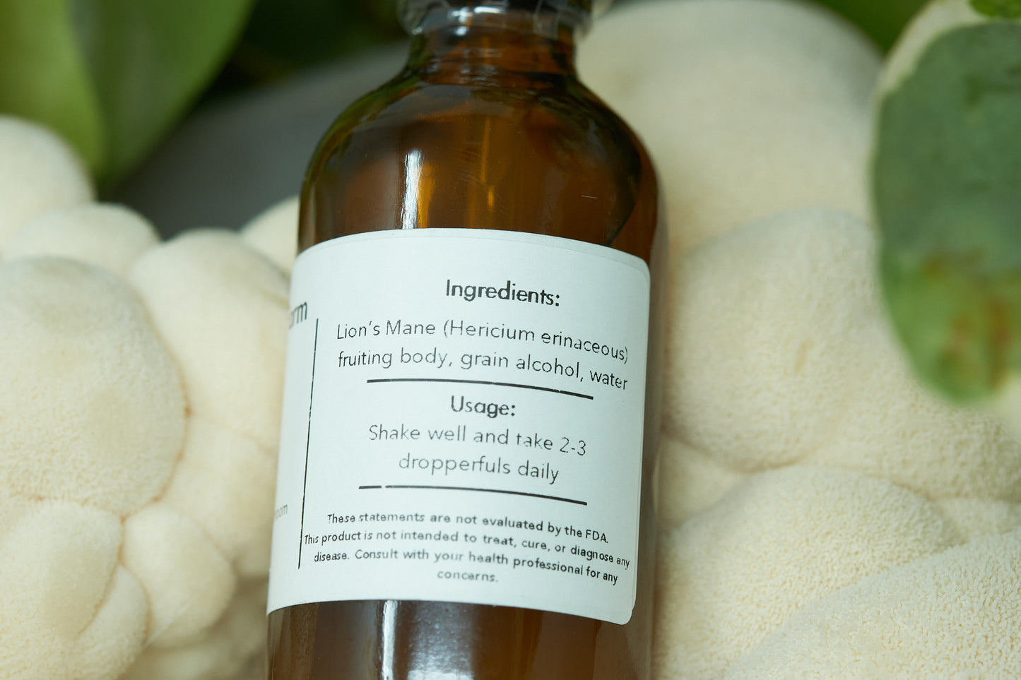 Lion's Mane Double Extracted Tincture (2 or 4 oz)