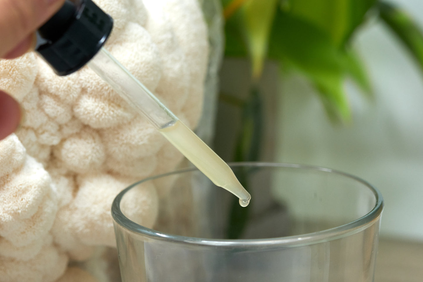 Lion's Mane Double Extracted Tincture (2 or 4 oz)