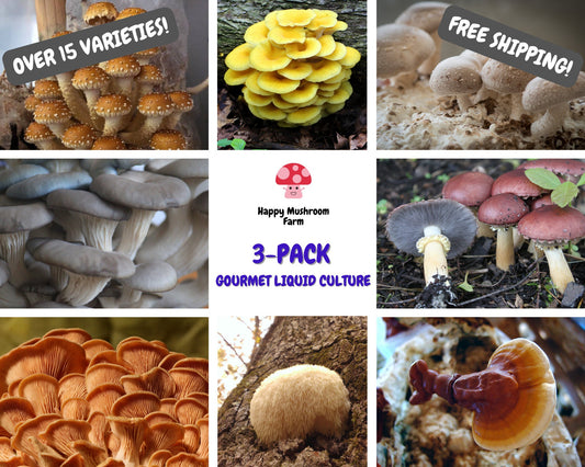 3-Pack Gourmet Mushroom Liquid Culture syringe kit (Your Choice)